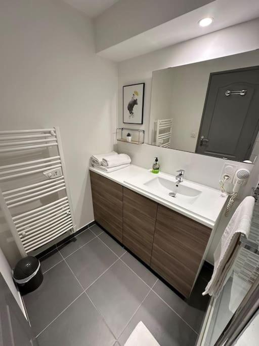 Appartement Le Douillet - Parking Gratuit - Centre Pau
